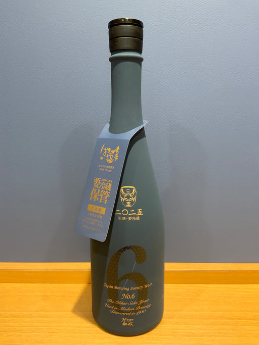 新政　No.6 H-type