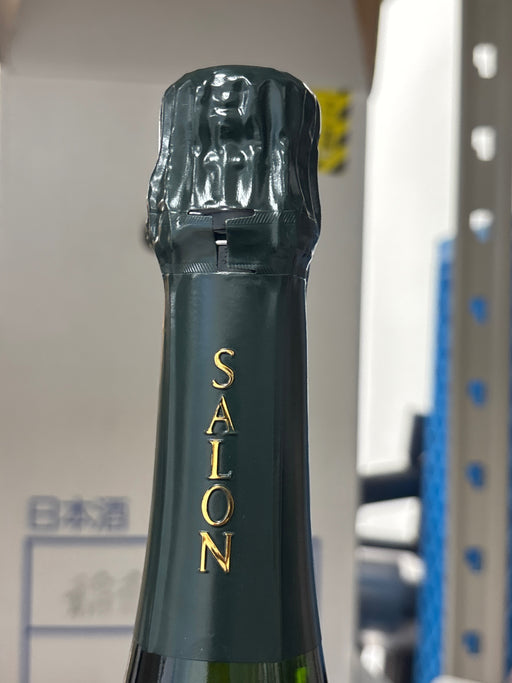 サロン 2013